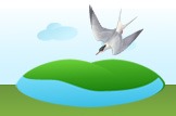 tern
