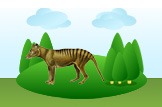 thylacine
