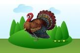 turkey