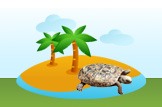 turtle