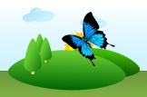 Ulysses Butterfly