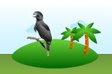 Umbrella Bird