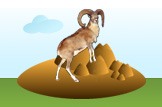 urial