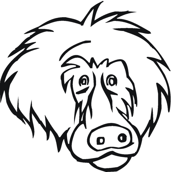 free Baboon coloring page picture
