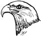 Bald Eagle coloring page