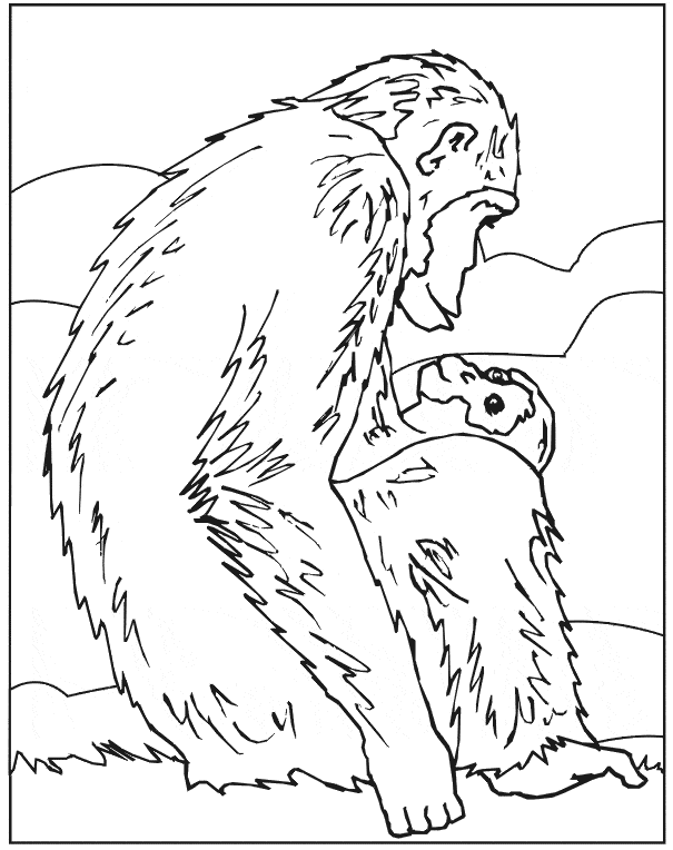Chimpanzee coloring print