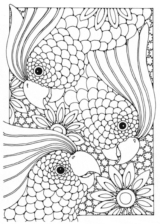 Cockatoo coloring page free printable