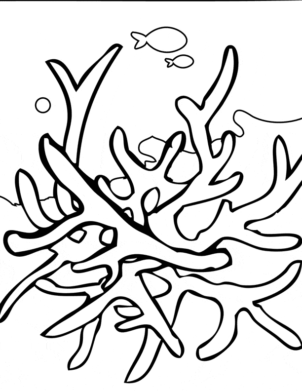 free Coral coloring page