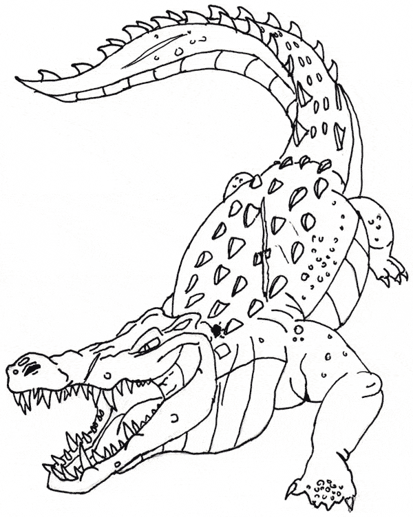 free Crocodile coloring page