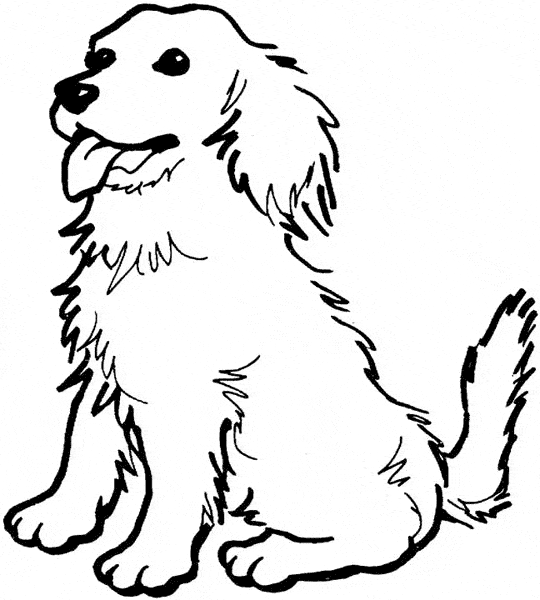 free Dog coloring page