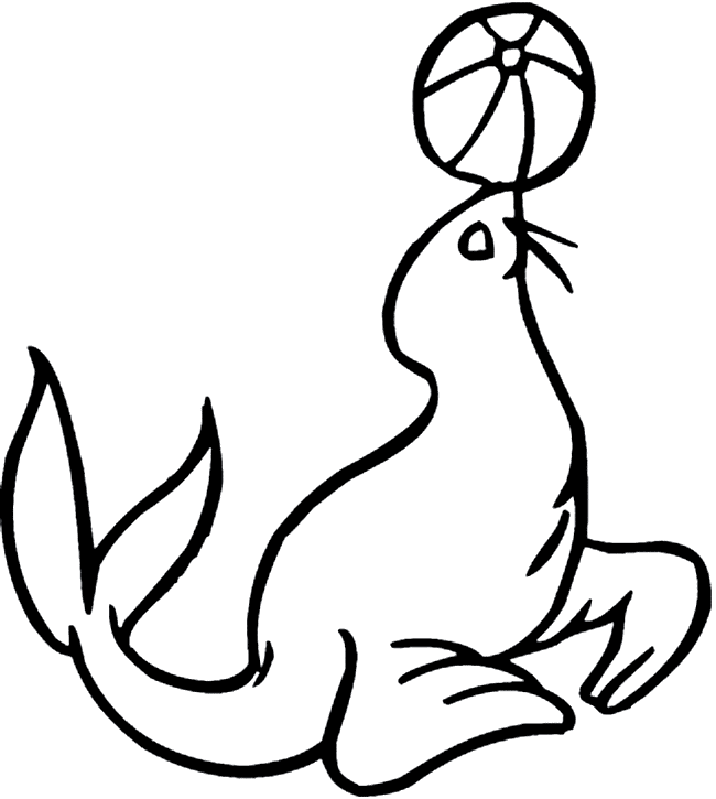 free Eared Seal coloring page