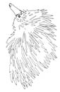 Echidna coloring page