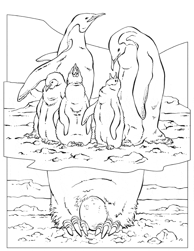 free Emperor Penguin coloring page