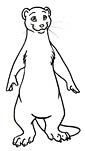 Ermine coloring page