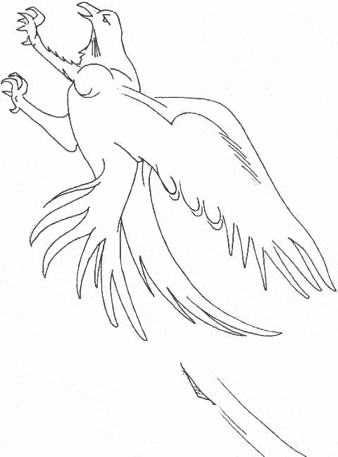 free Falcon coloring page
