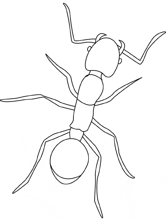 free Fire Ant coloring page