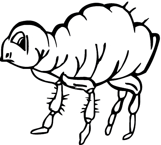 Flea coloring printable