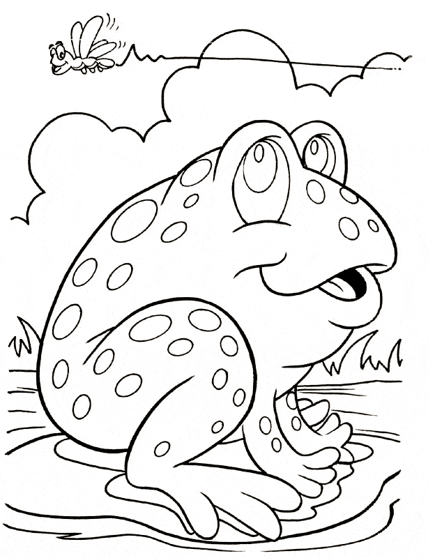 free Frog coloring page