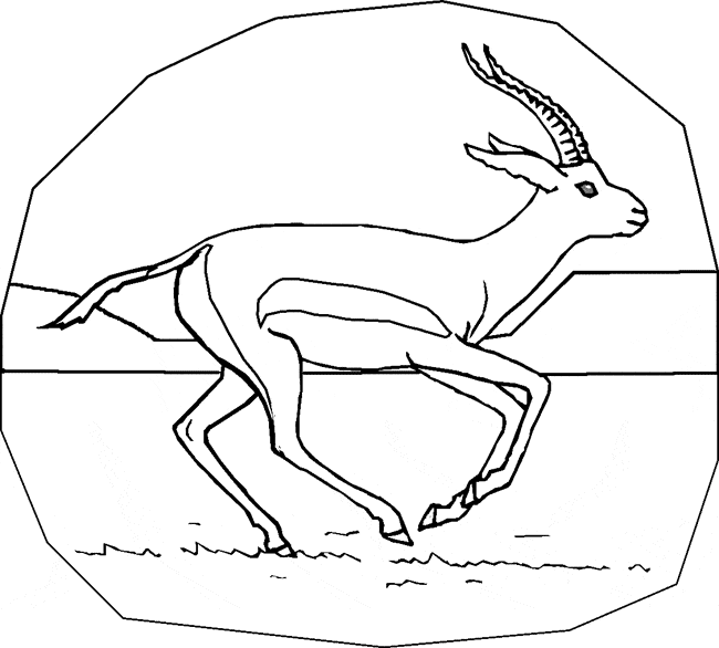 cute gazelle coloring page