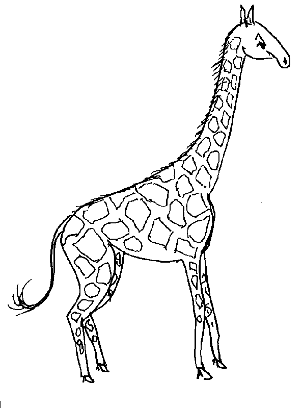 free Giraffe color page
