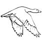 Goose coloring page