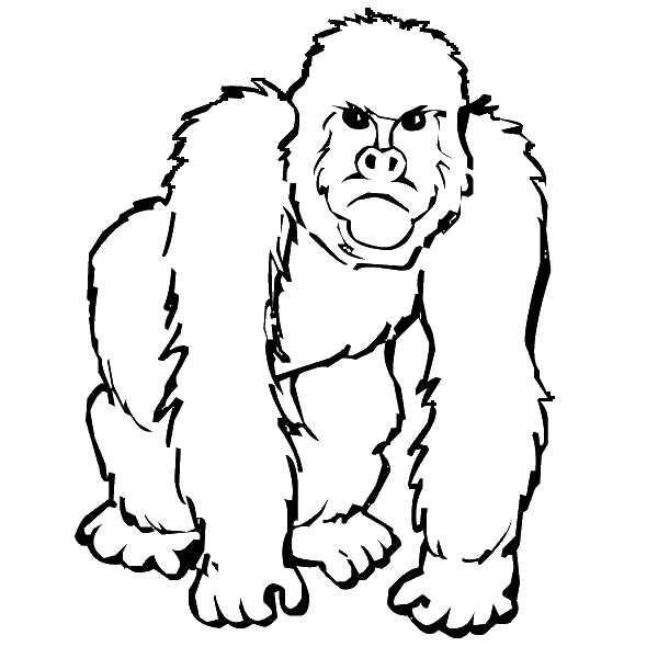 free Gorilla coloring page