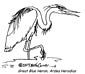 great blue herron coloring page