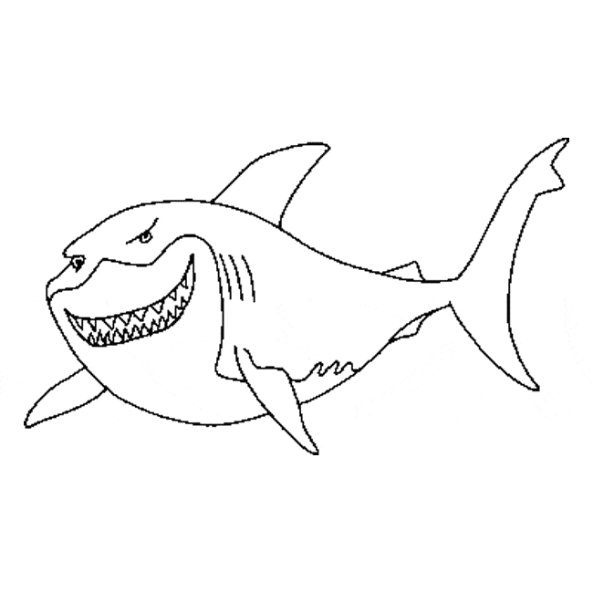free Great White Shark coloring page printable
