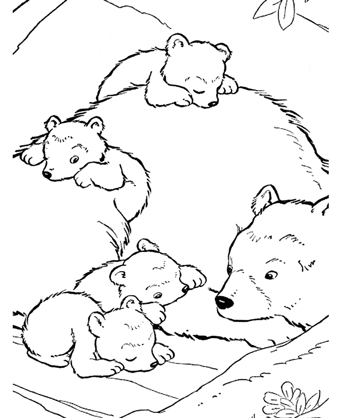 free printable Grizzly Bear coloring page sheet