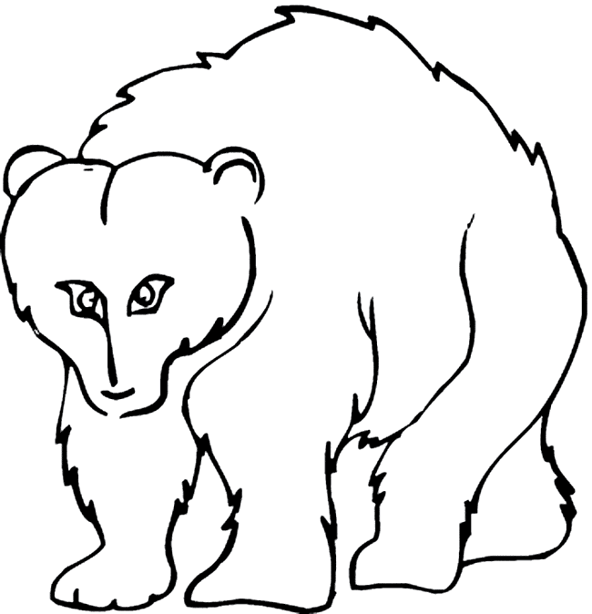 free printable Grizzly Bear coloring page sheet
