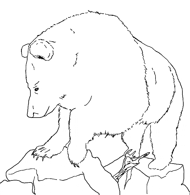 free printable Grizzly Bear coloring page sheet