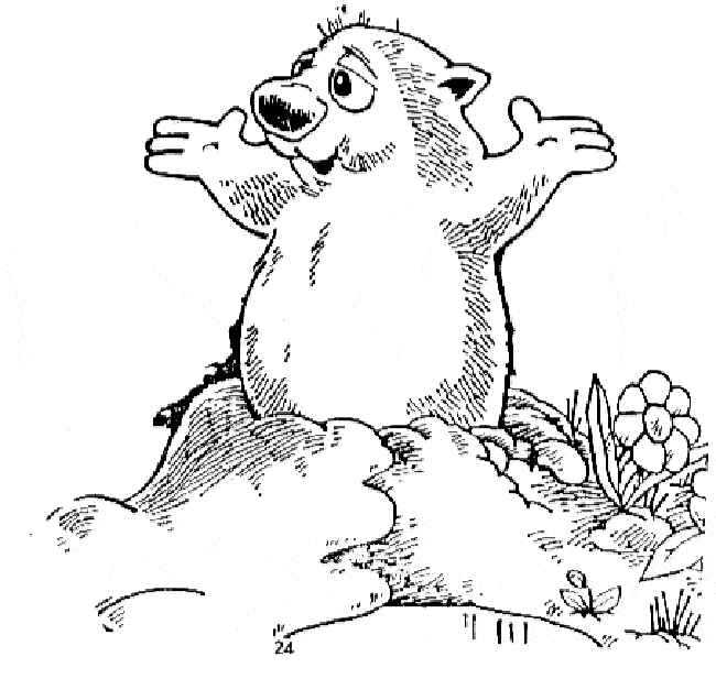 Groundhog coloring page