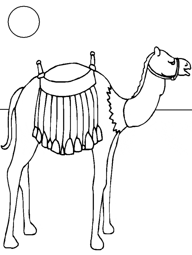 free Guanaco coloring page