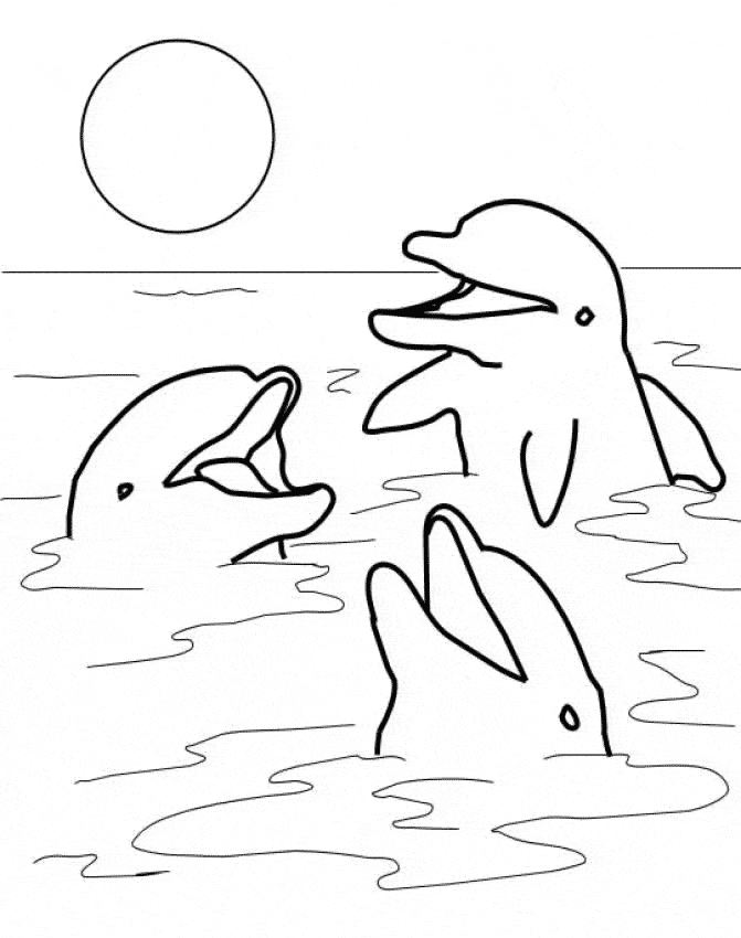 free Harbor Porpoise coloring page