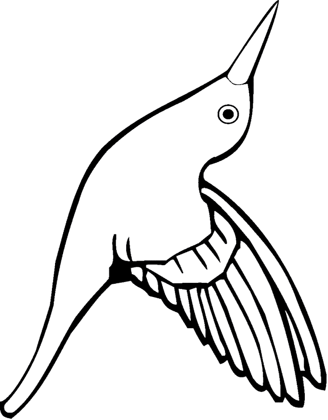 free Hummingbird coloring page