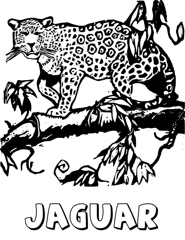 free Jaguar coloring page