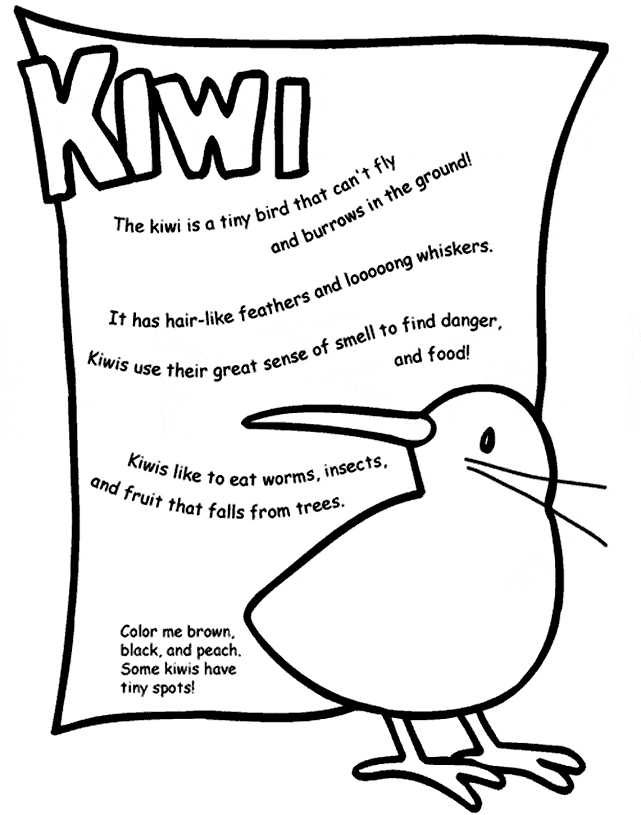free Kiwi coloring page