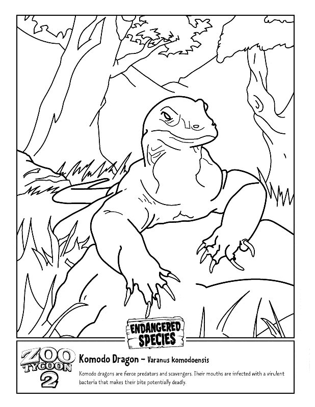 free Komodo Dragon coloring page