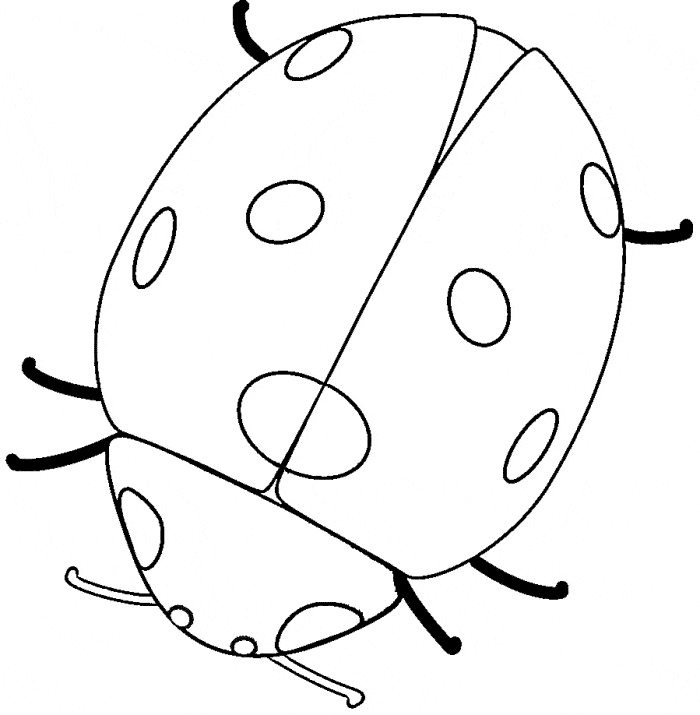 l is for ladybug coloring pages - photo #20