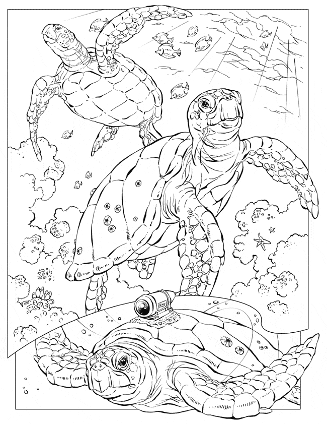 leather back sea turtle coloring pages - photo #15