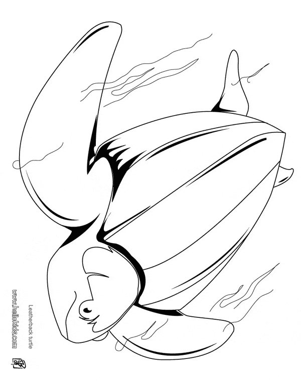 free Leatherback Sea Turtle coloring page