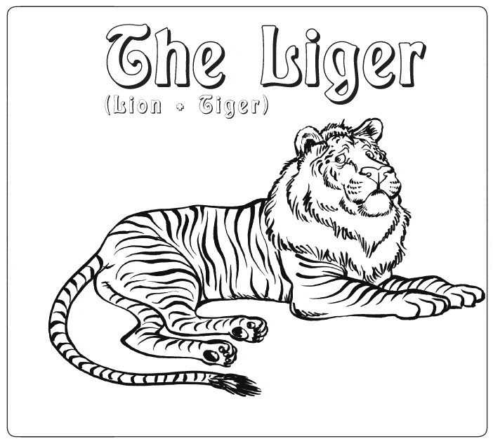liger coloring pages - photo #3