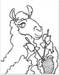 llama coloring picture