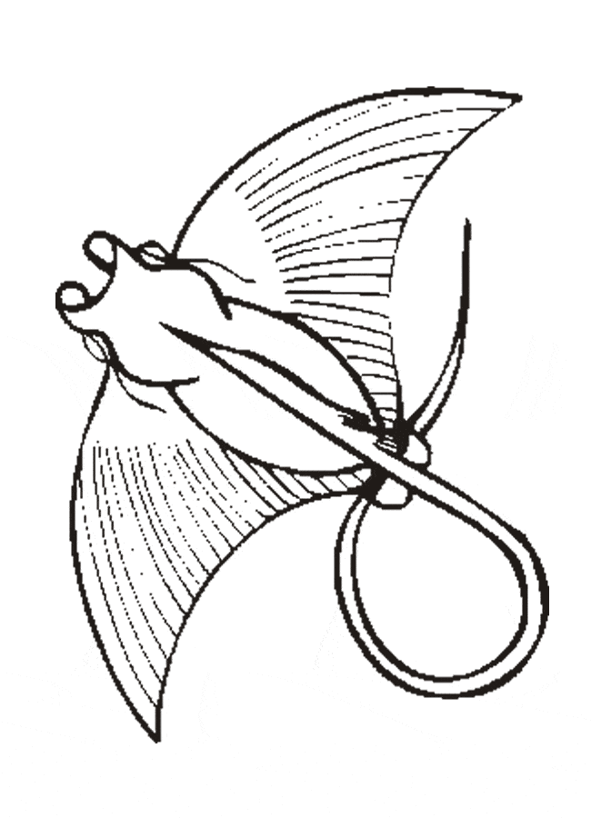 free Manta Ray coloring page