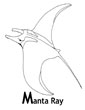 manta ray coloring picture
