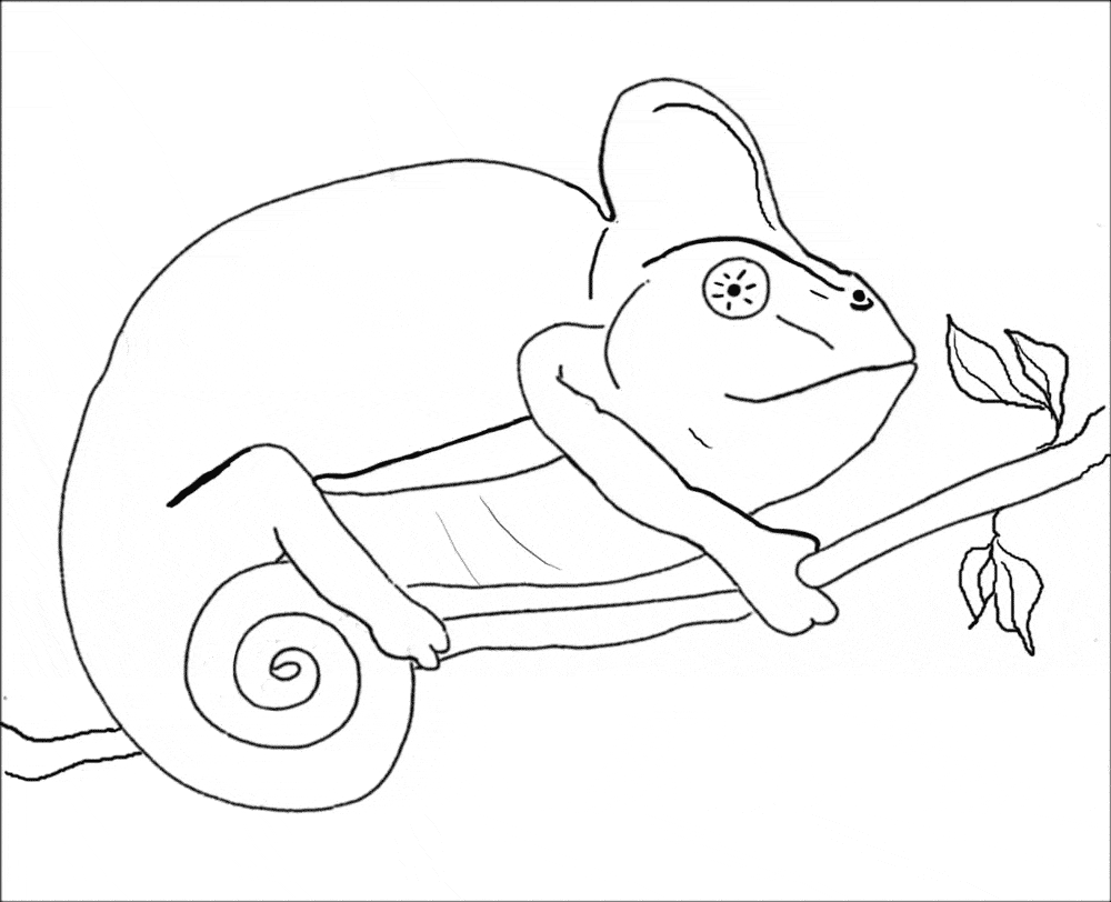 free Marbled Salamander coloring page
