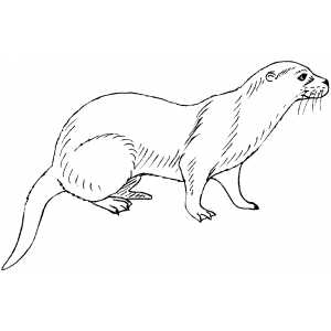 free Mink coloring page