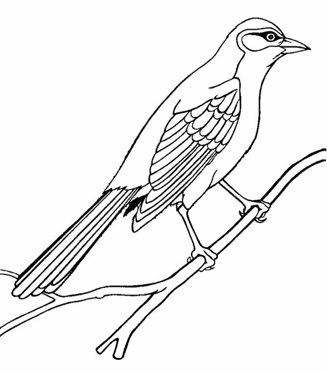 free Mockingbird coloring page