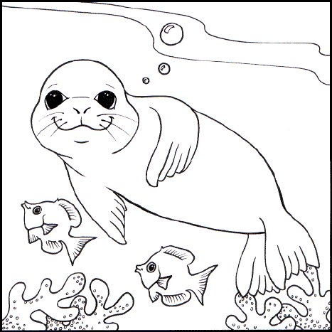 seal wallpaper. free Monk Seal wallpaper