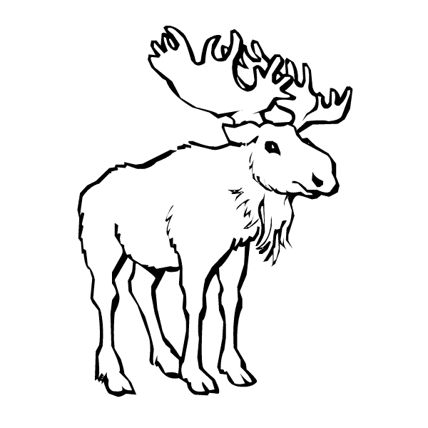 free Moose coloring page